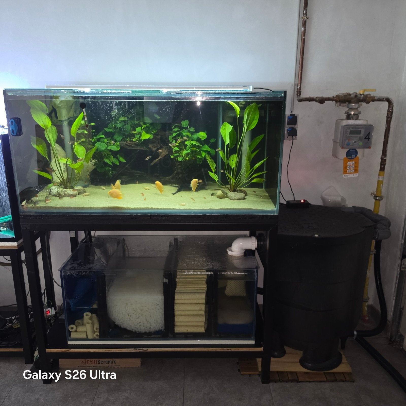 Professionele Complete Aquariumset (120x65x55cm) inclusief S, Ophalen, Decoratie