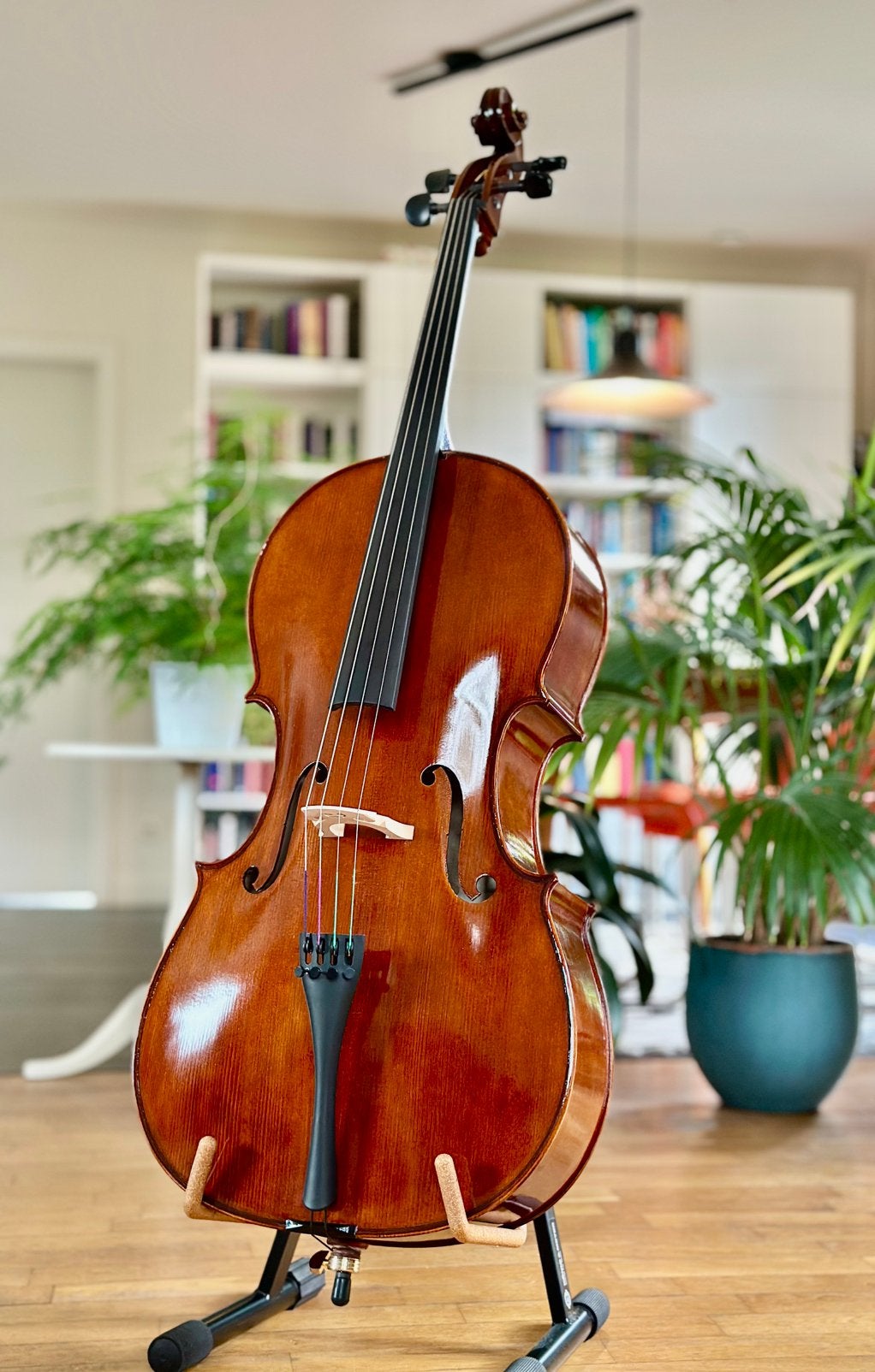 Prachtige 4/4 cello - Nieuw, Muziek en Instrumenten, Strijkinstrumenten | Cello's, Ophalen, Nieuw, 4/4-cello, Met koffer