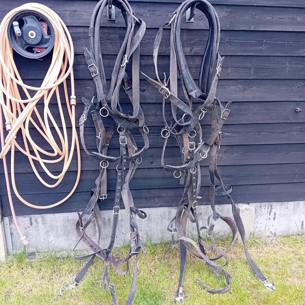 2 span tuig nylon, Dieren en Toebehoren, Paarden en Pony's | Hoofdstellen en Tuigage, Ophalen