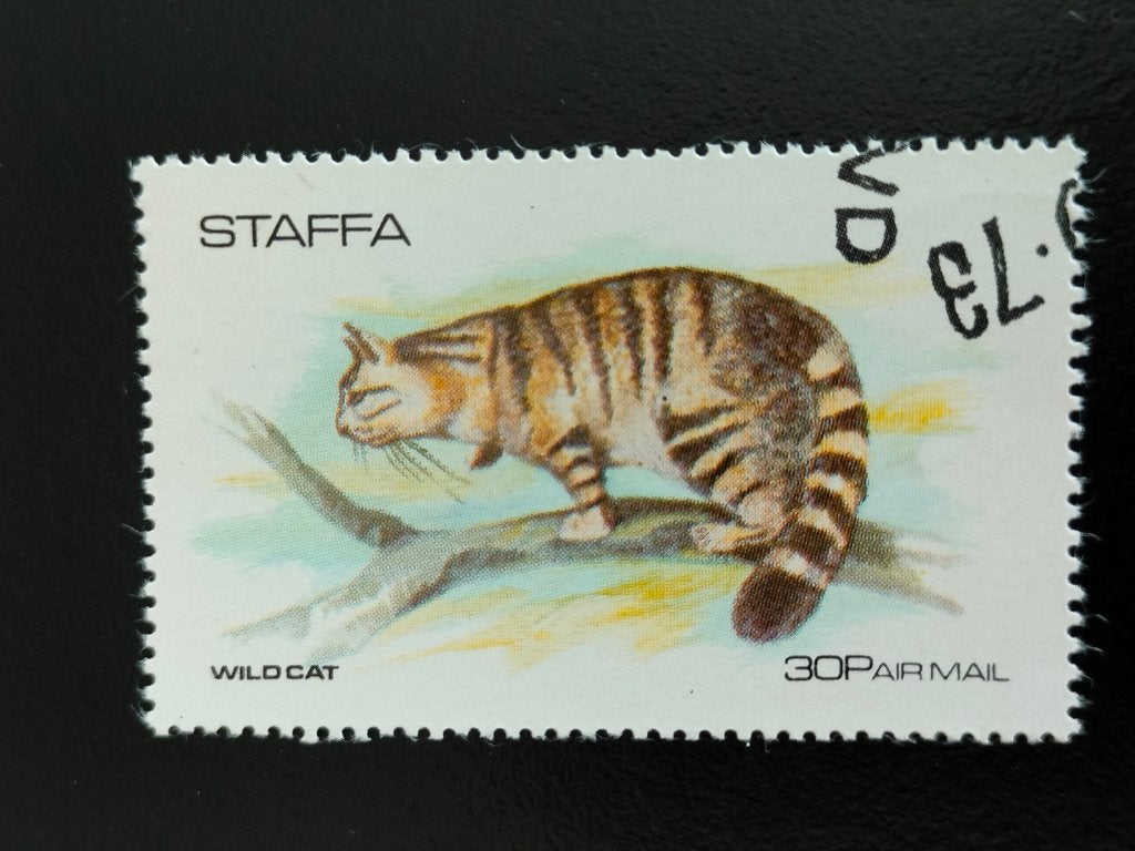 Staffa 1973 - animaux sauvages, chat sauvage, Timbres & Monnaies, Timbres | Europe | Royaume-Uni, Envoi, Affranchi
