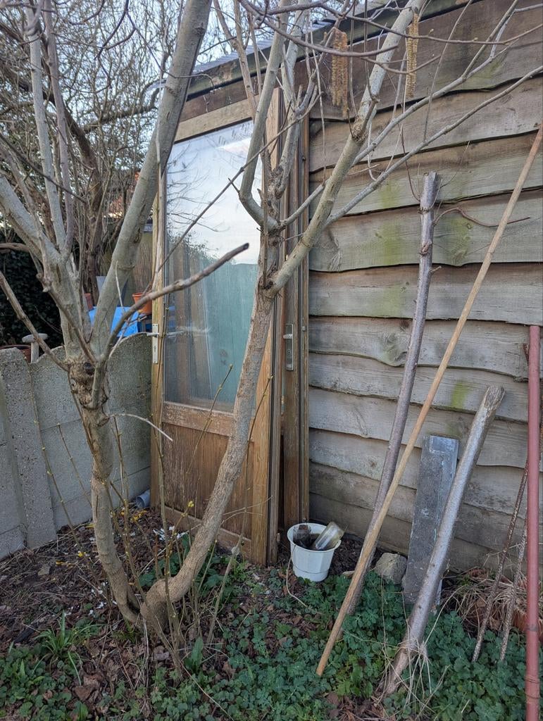 Gratis oude houten deuren met raam, Immo