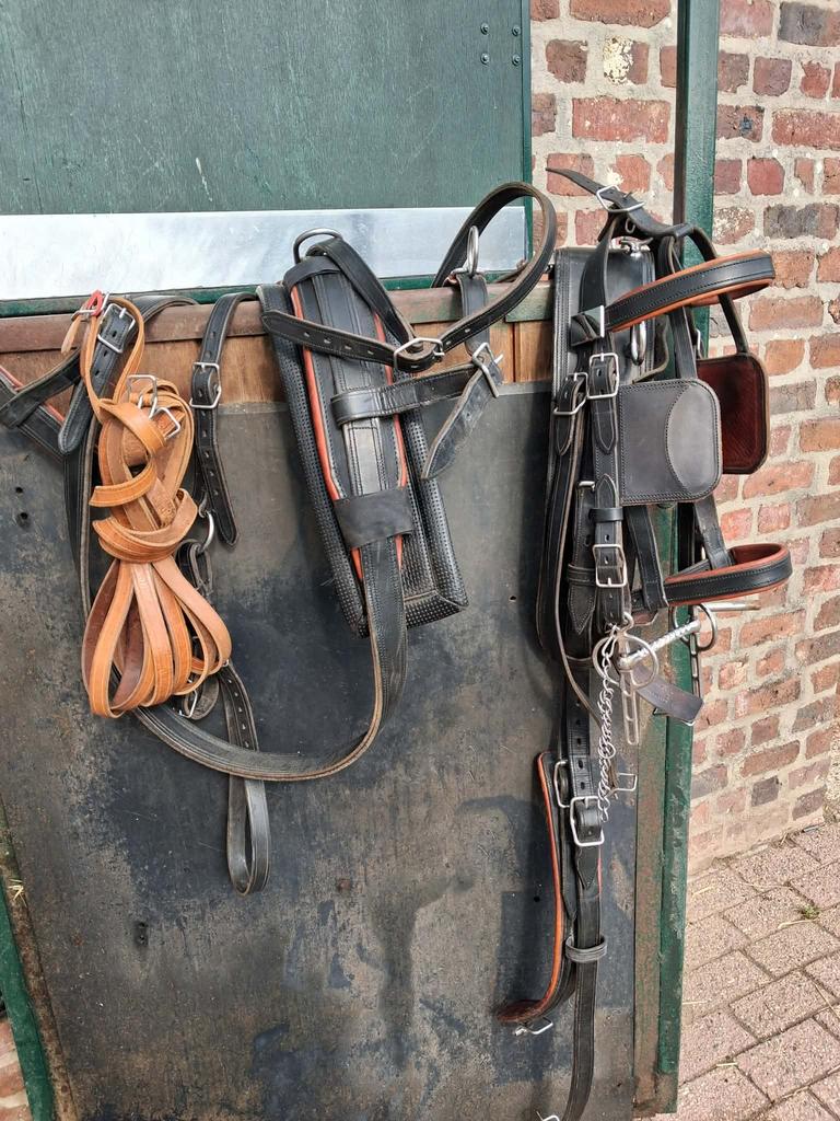 Te koop lederen tuig, Enlèvement ou Envoi, Comme neuf