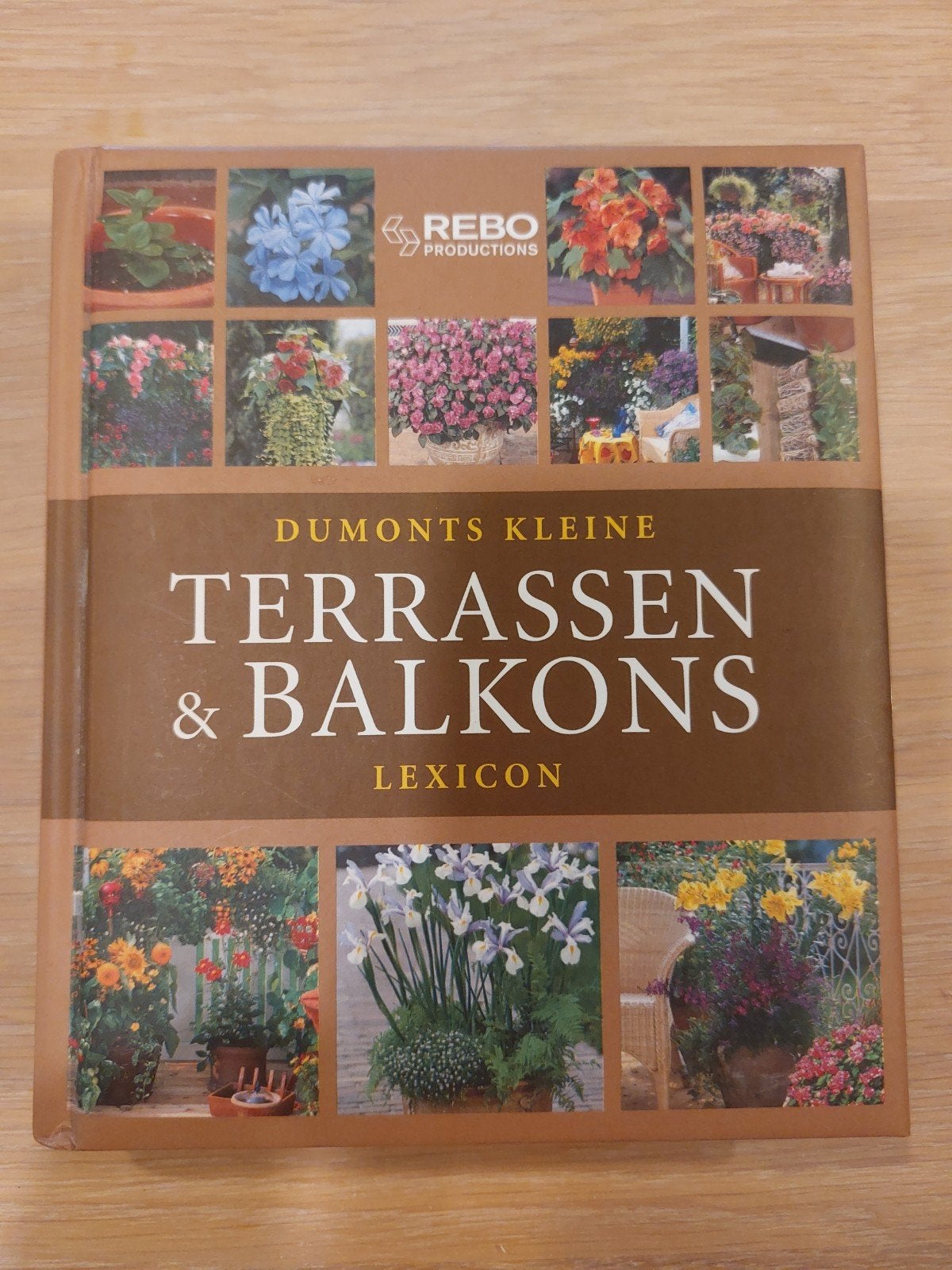 Terassen & Balkons lexicon, Boeken, Ophalen of Verzenden, Zo goed als nieuw, Tuinieren en Tuinplanten, Dumonts Kleine