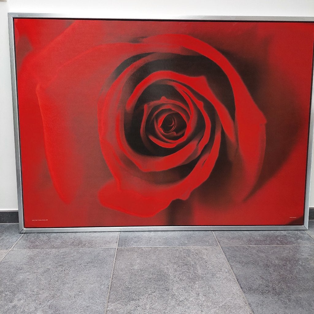kader met roos, Huis en Inrichting, Ophalen, 140 cm, Rood, Decoratieobject