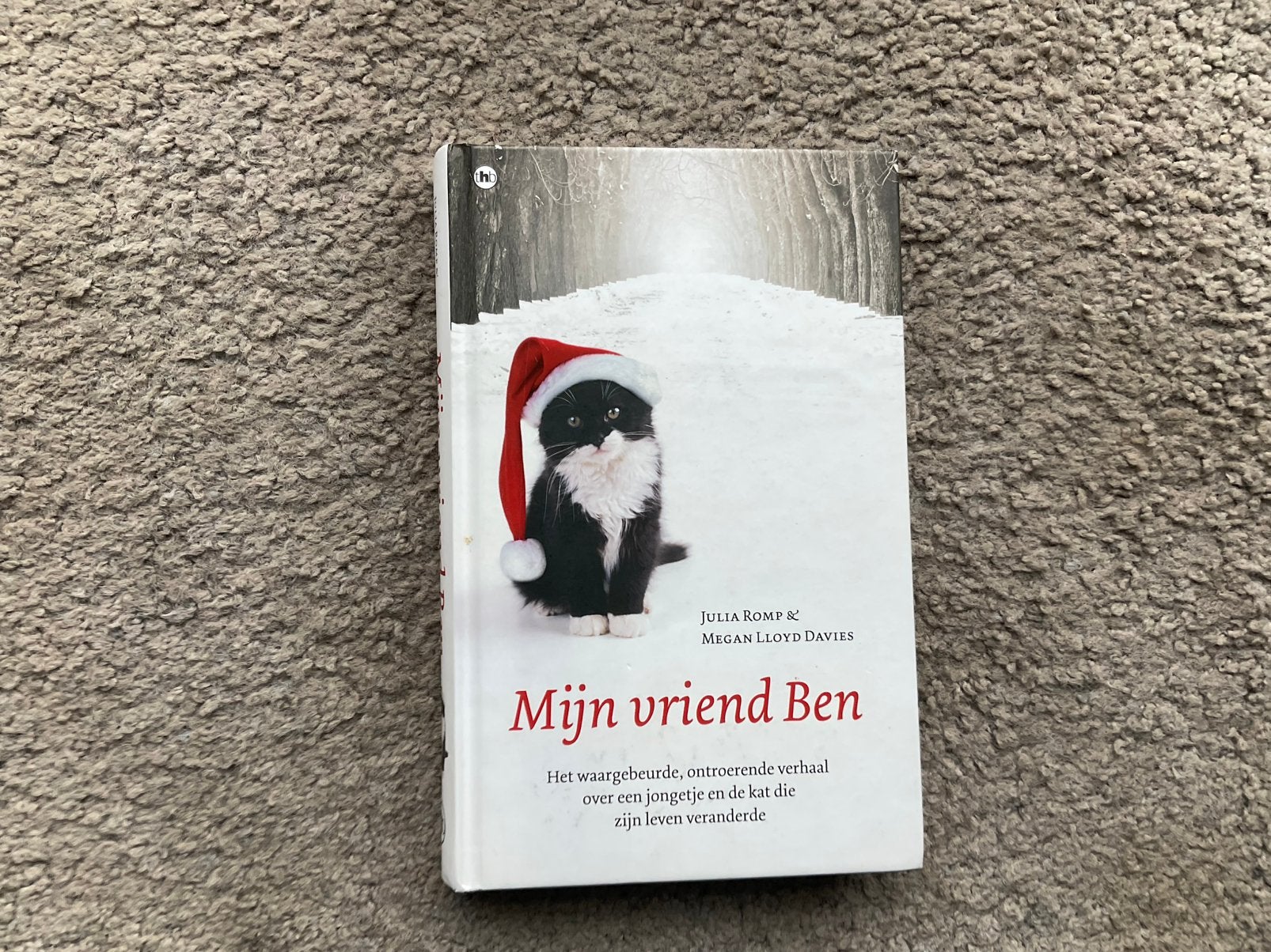 Mijn vriend Ben - Julia Romp & Megan Lloyd Davies, Ophalen of Verzenden, Zo goed als nieuw