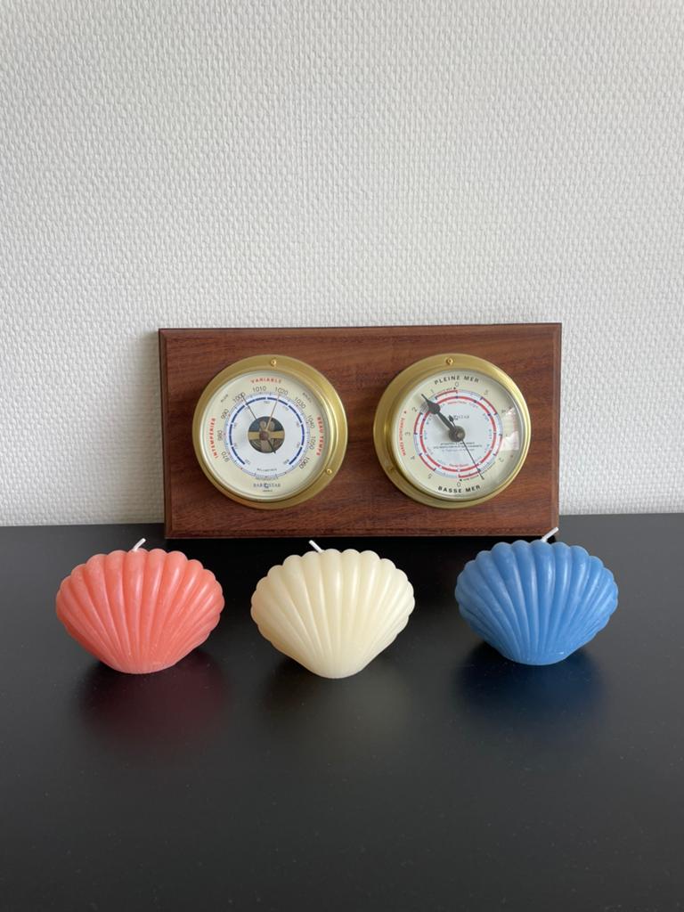 Kaarsen schelp, Overige materialen, Overige kleuren, Nieuw, Ophalen of Verzenden