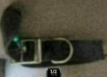 Collier cuir noir grand chien NEUF, Ferplast, Enlèvement ou Envoi, Neuf, Collier