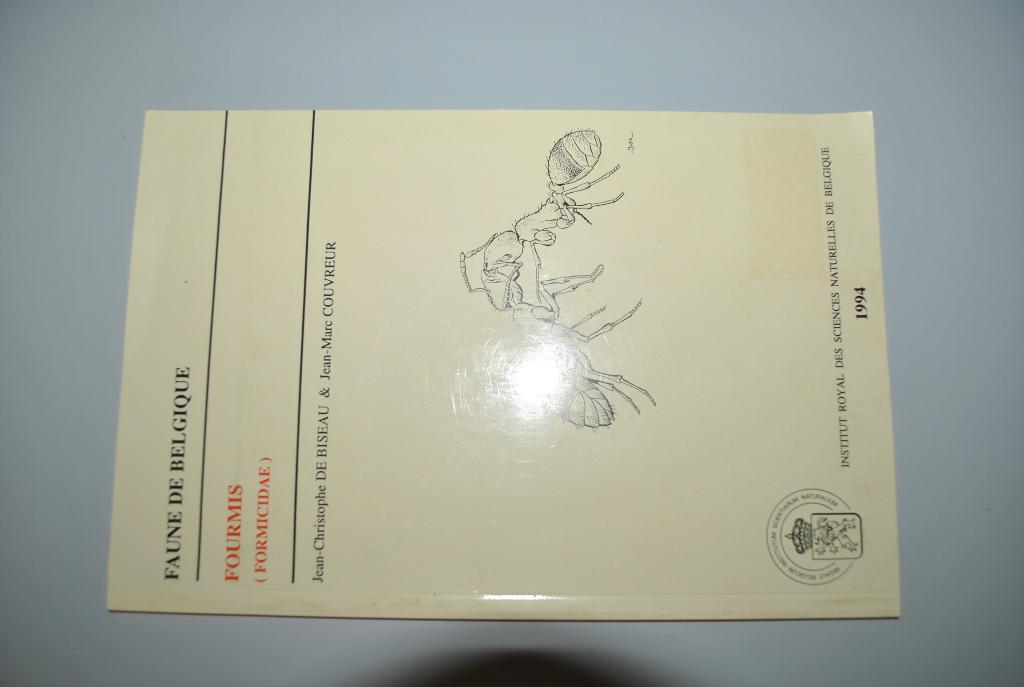 Faune Belgique/Fourmis 1994 56 pages Bon état, Livres, Enlèvement ou Envoi, Utilisé