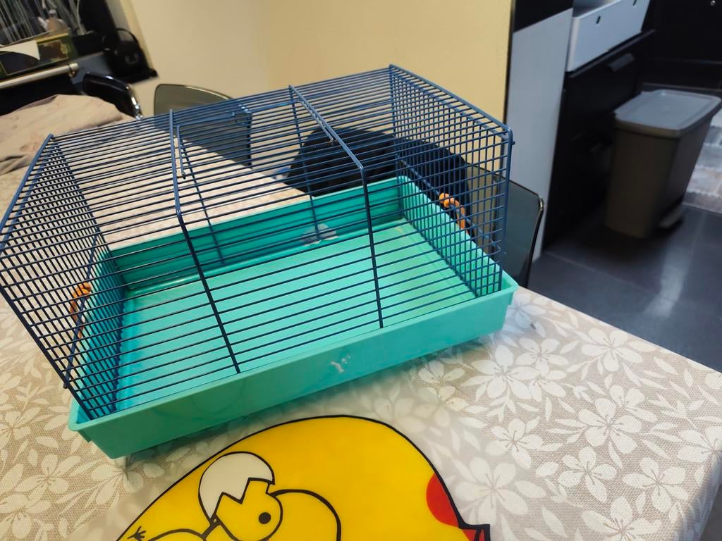Hamsterkooi, Dieren en Toebehoren, Kooi, Minder dan 75 cm, Ophalen, Minder dan 60 cm