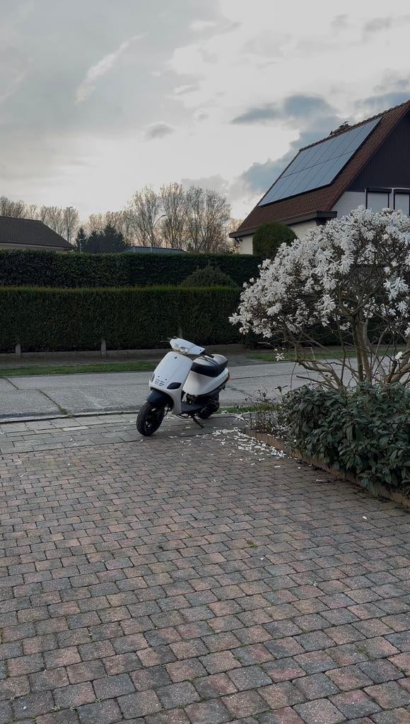 Zip type 3 waarde schatting(niet tekoop), Ophalen of Verzenden, Zo goed als nieuw, Zip