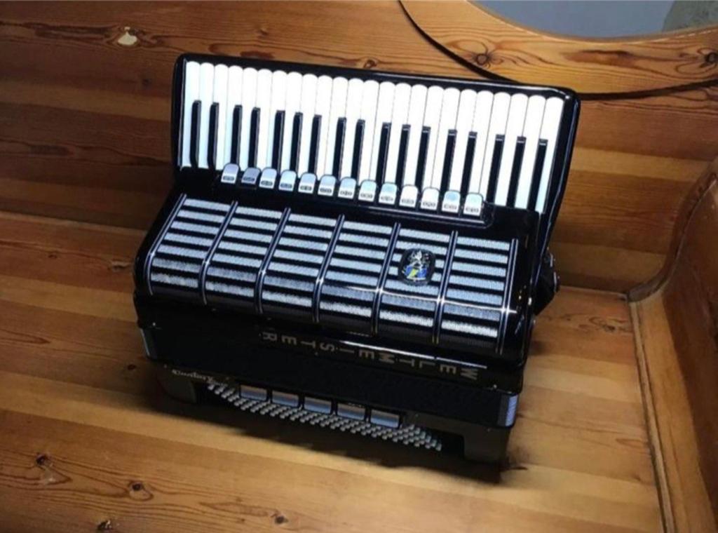 Weltmeister Cantus V Deluxe 120 bass, Muziek en Instrumenten, Ophalen, Weltmeister