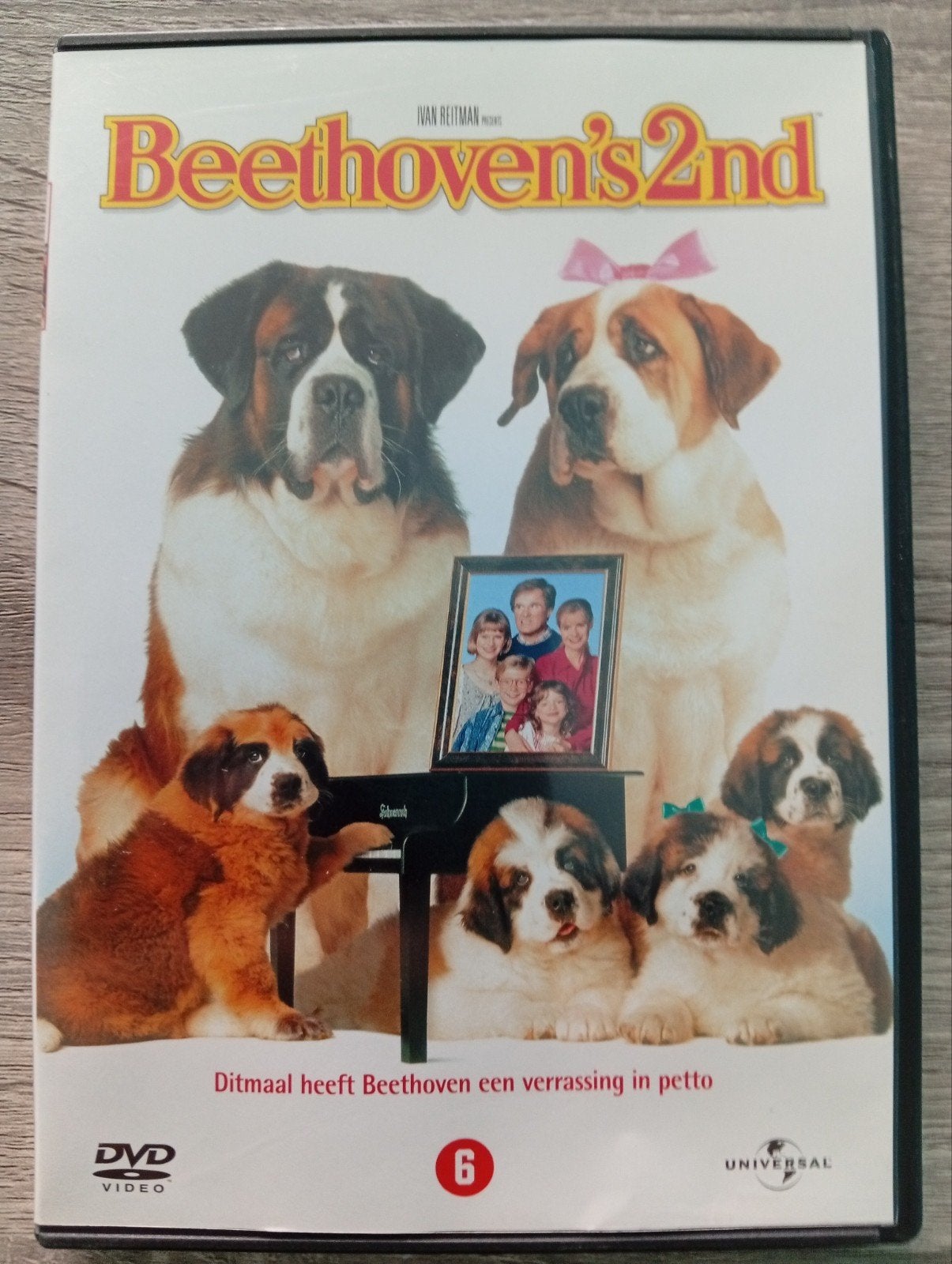 DVD de la 2e famille de Beethoven, CD & DVD, DVD | Enfants & Jeunesse, Comme neuf, Film, Suppléments, À partir de 6 ans, Anglais