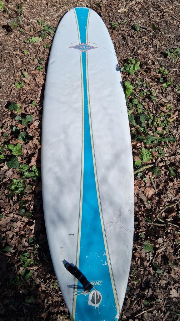 Bic Malibu golfsurfplank, Watersport en Boten, Ophalen