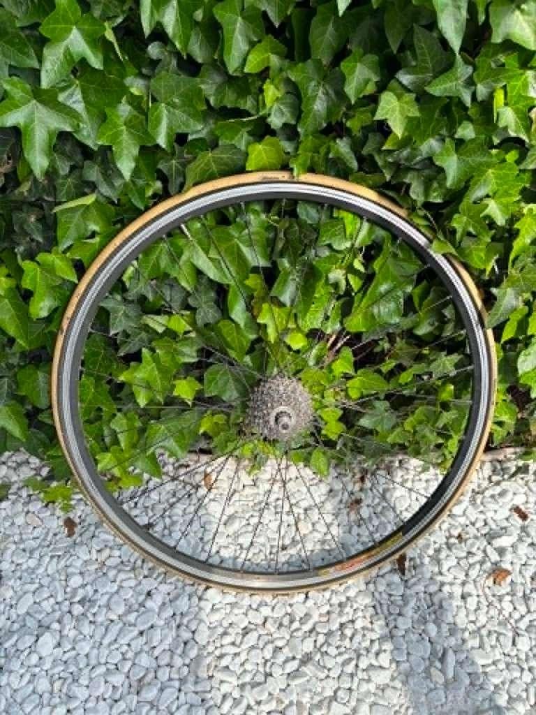 Achterwiel, Fietsen en Brommers, Ophalen, Gebruikt, Racefiets, Wiel