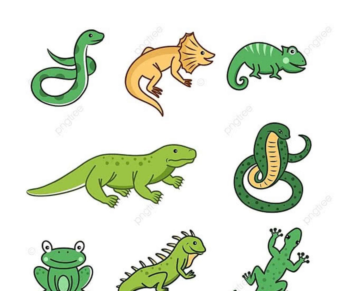 Reprend vos reptiles, Enlèvement, Neuf, Autres types