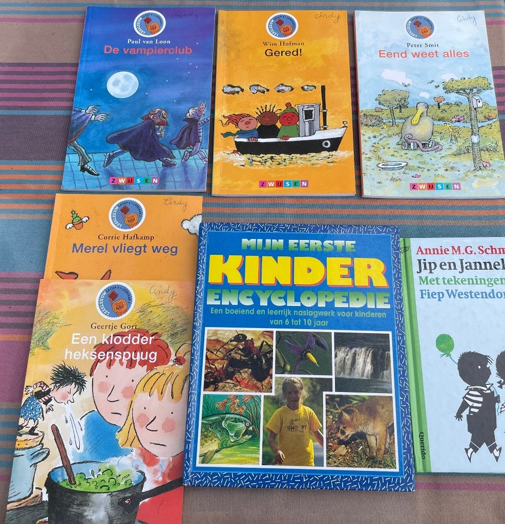 Verschillende boeken, Enlèvement, Comme neuf, Néerlandais