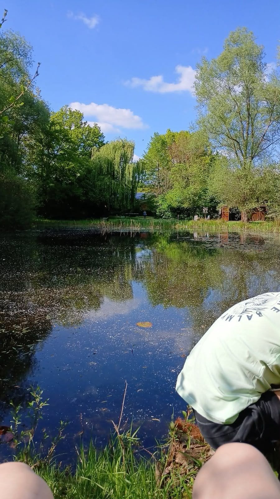 Vissen gezocht voor natuurlijke vijver., Dieren en Toebehoren, Vis, Zoetwatervis, Schoolvis