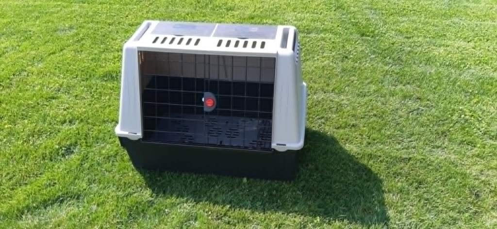 AUTOTRANSPORTBOX, Dieren en Toebehoren, Ophalen, Zo goed als nieuw