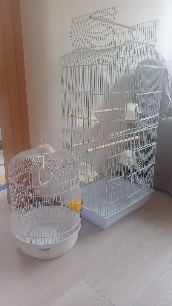 Vogelkooi groot en klein, Animaux & Accessoires, Oiseaux | Cages & Volières, Comme neuf, Cage à oiseaux, Métal, Enlèvement