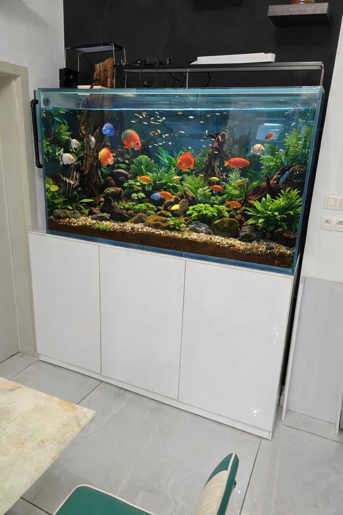 Grand aquarium personnalisé 700L - verre de 15 mm - système, Animaux & Accessoires, Reptiles & Amphibiens | Accessoires, Éclairage