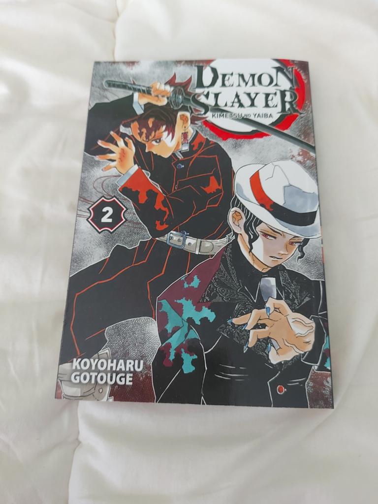 Demon slayer, Livres, Enlèvement