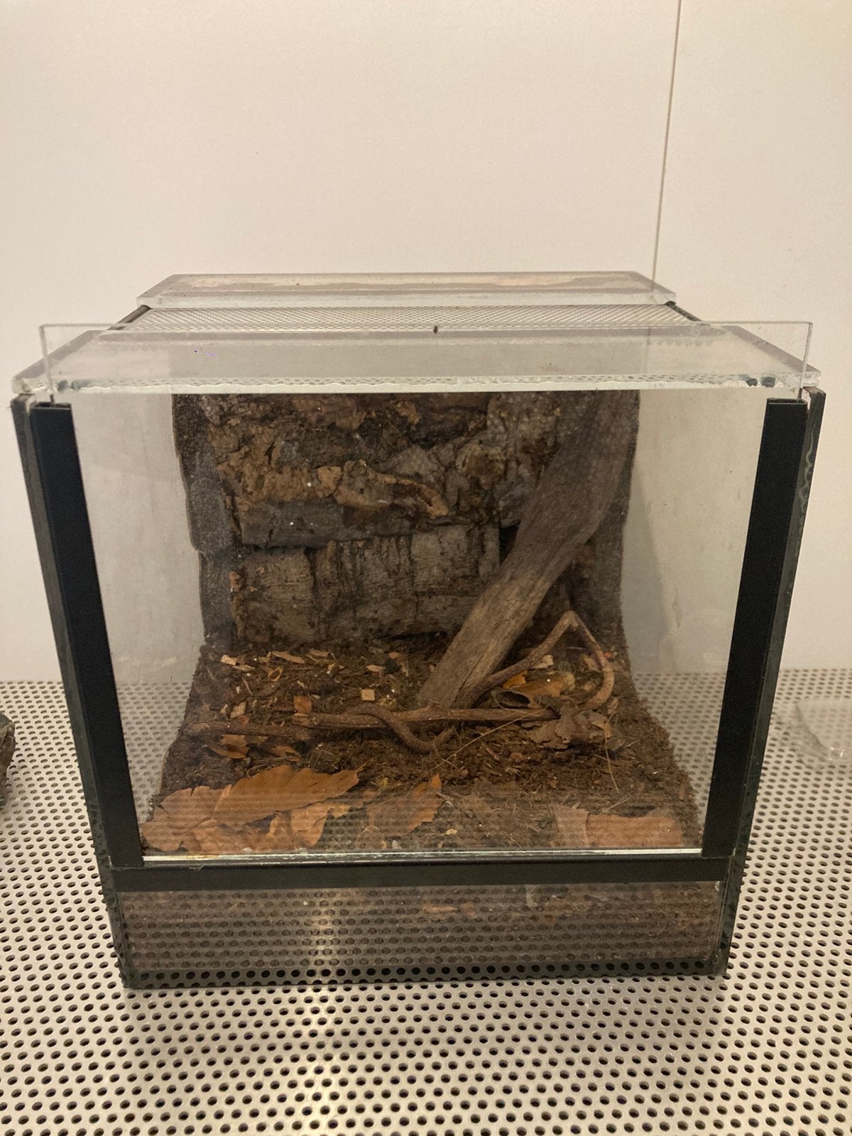 Terrarium 20/20/20cm, Dieren en Toebehoren, Ophalen, Zo goed als nieuw