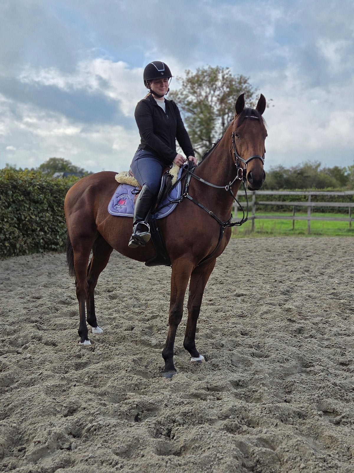 Lieve nuchtere 3,5 jarige ruin, Dieren en Toebehoren, Ruin, 3 tot 6 jaar, 160 tot 165 cm, Met stamboom