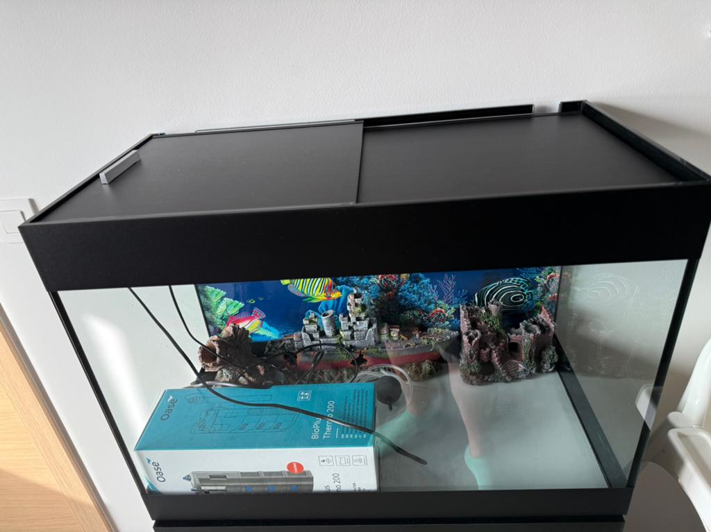 Aquarium, Enlèvement, Chauffage, Comme neuf, Oase