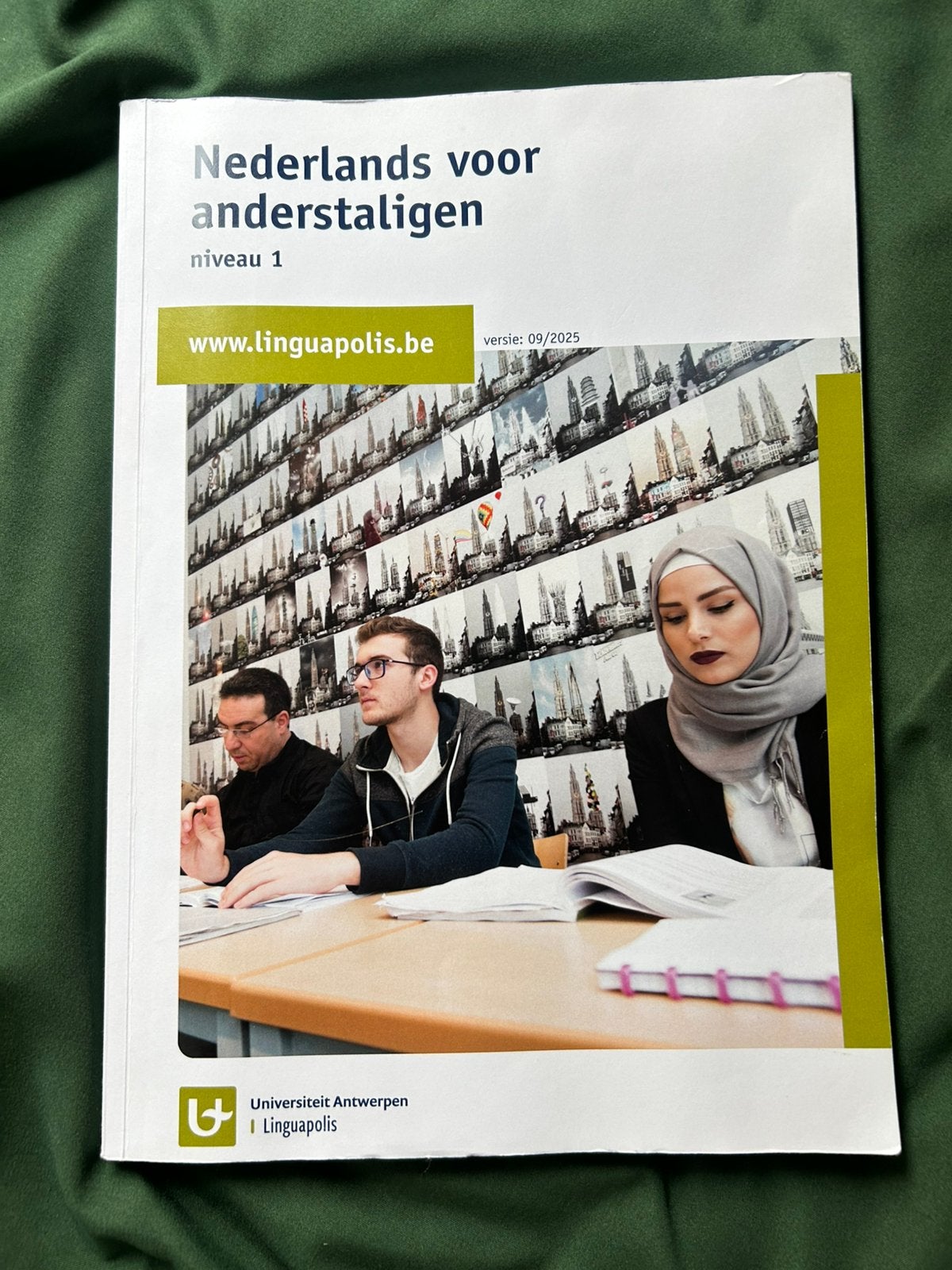 Linguapolis Universiteit Antwerpen Nederlands, Livres, Enlèvement, Utilisé
