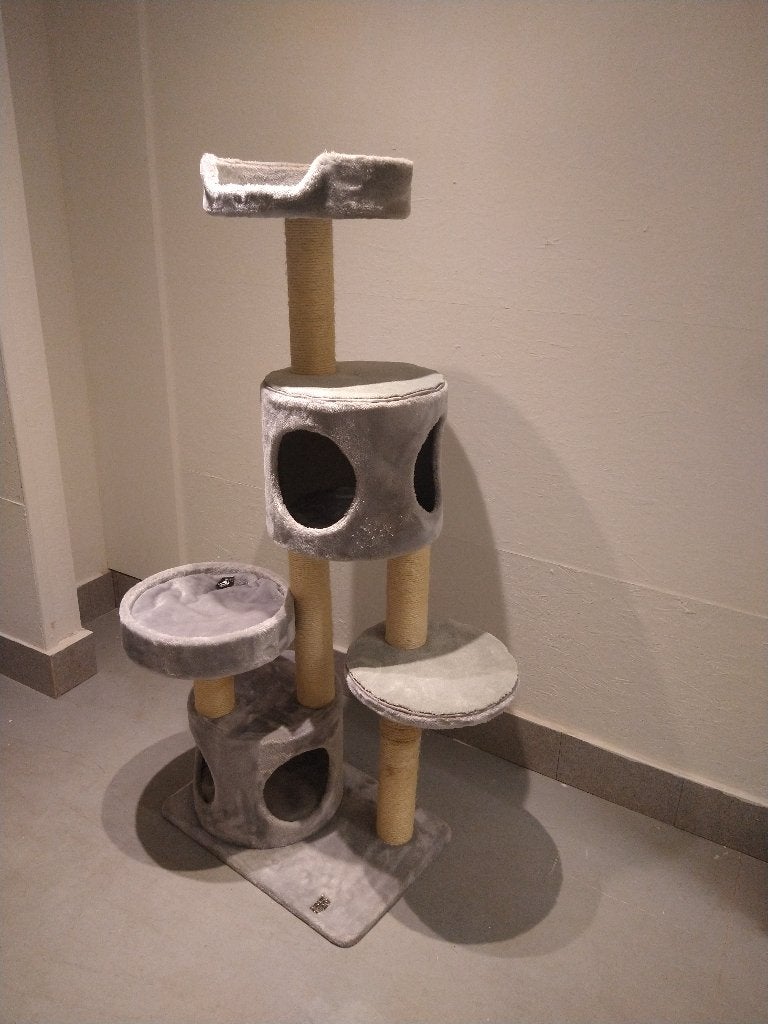 Krabpaal  Katten  Petrebels, Dieren en Toebehoren, Ophalen, Gebruikt