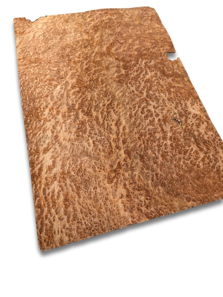 Placage en racine d'amboyna | 31x19 cm, Hobby & Loisirs créatifs, Hobby & Loisirs Autre, Envoi, Neuf