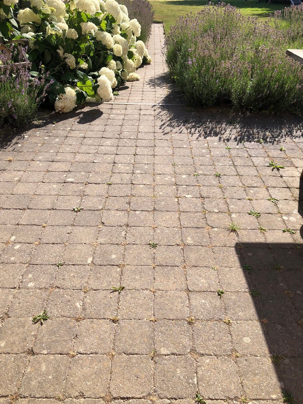 Pavés de 45 m2 gratuits, Béton, Enlèvement, Utilisé, Briques