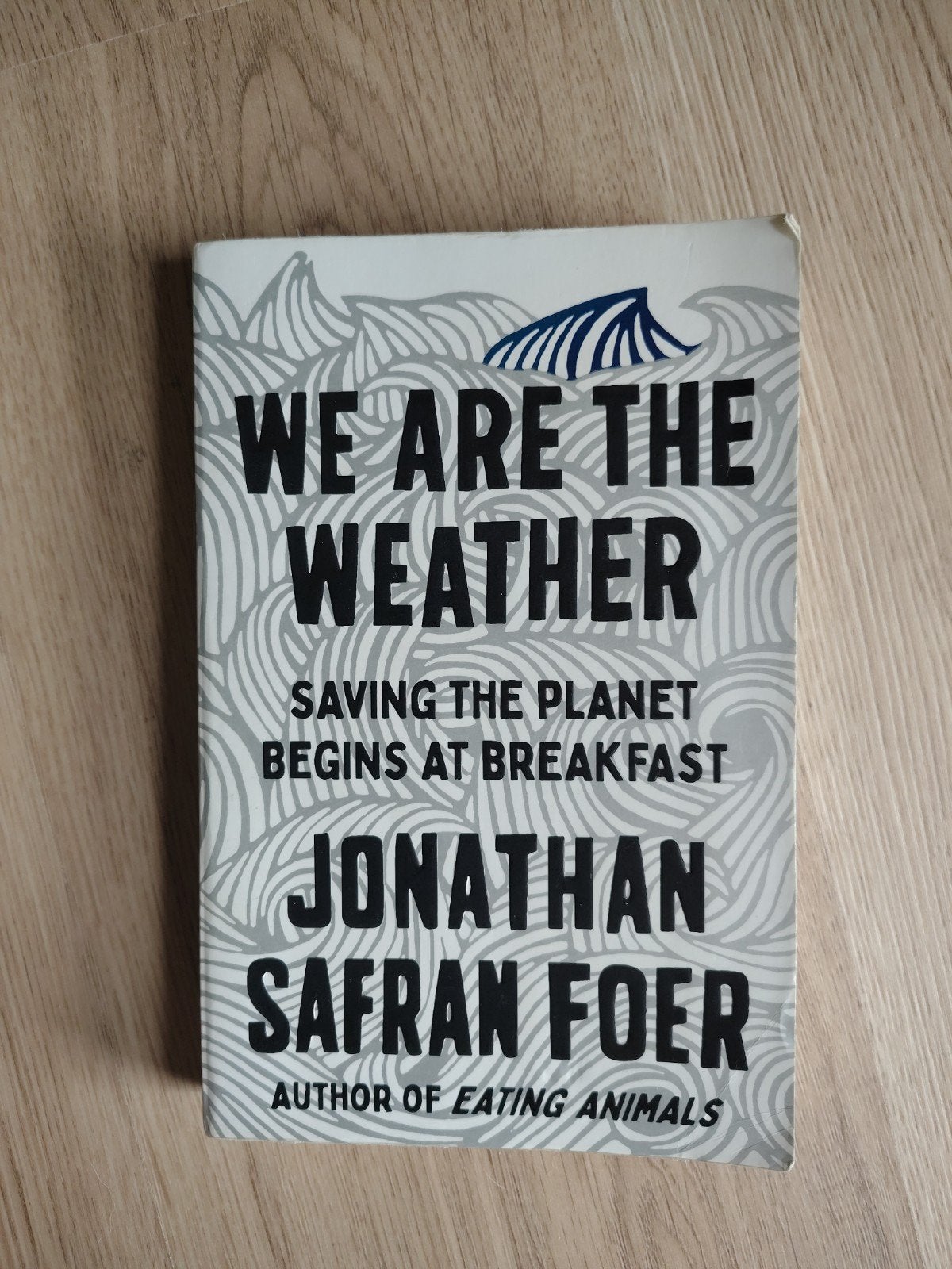 Jonathan Safran Foer - we are the weather, Enlèvement