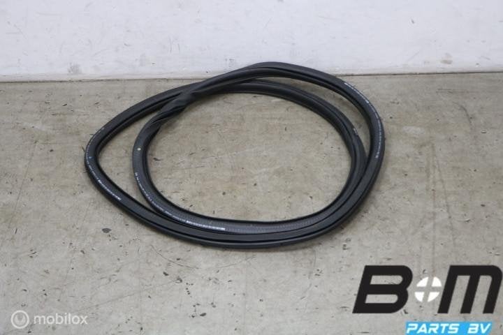 Portierrubber achterzijde Audi RS3 8Y 8Y4833721B, Auto-onderdelen, Interieur en Bekleding, Gebruikt