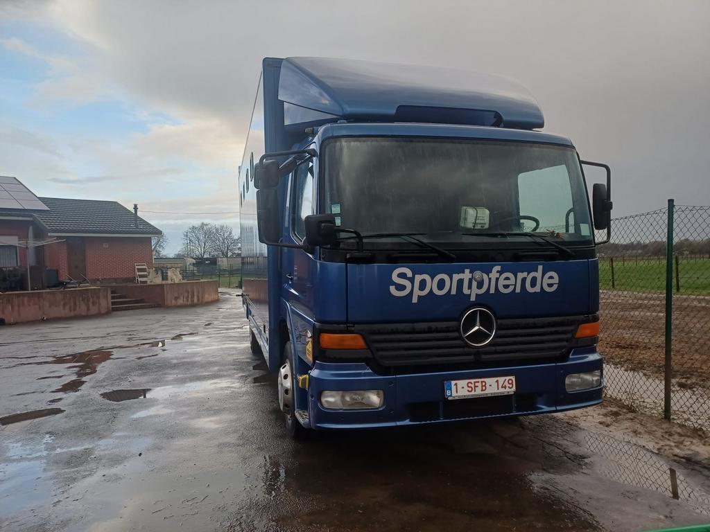 Paardenvrachtwagen, Autos, Camions, Achat, 4 portes, Entreprise, 2 places