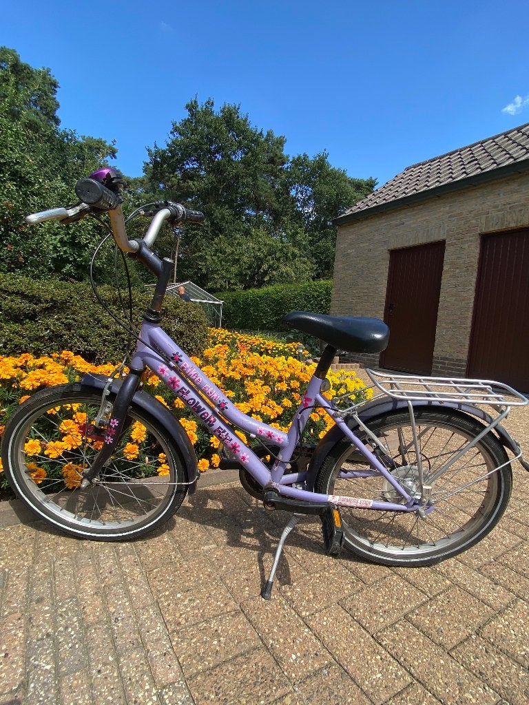 Kinderfiets 20 inch, Ophalen, Gebruikt, Velgrem, 20 inch of meer