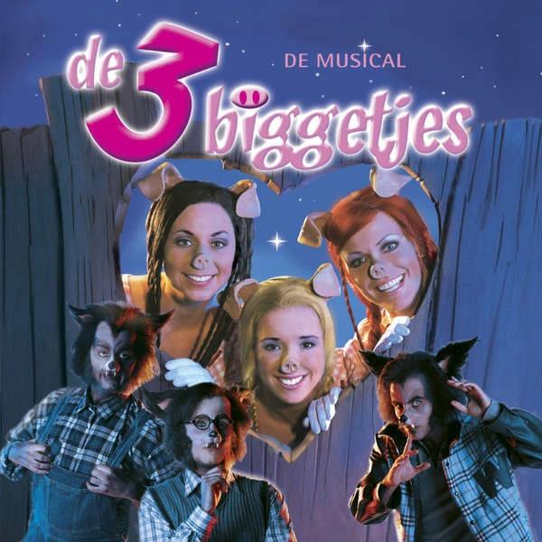 GEZOCHT showboek musical De 3 biggetjes, Cd's en Dvd's, Ophalen, Zo goed als nieuw