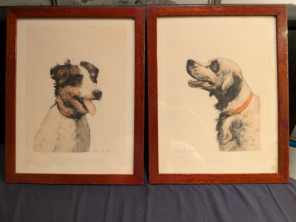 Twee, ingekaderde prenten van jachthonden, Terrier en Setter, Verzamelen, Foto's en Prenten, Ophalen of Verzenden, Zo goed als nieuw