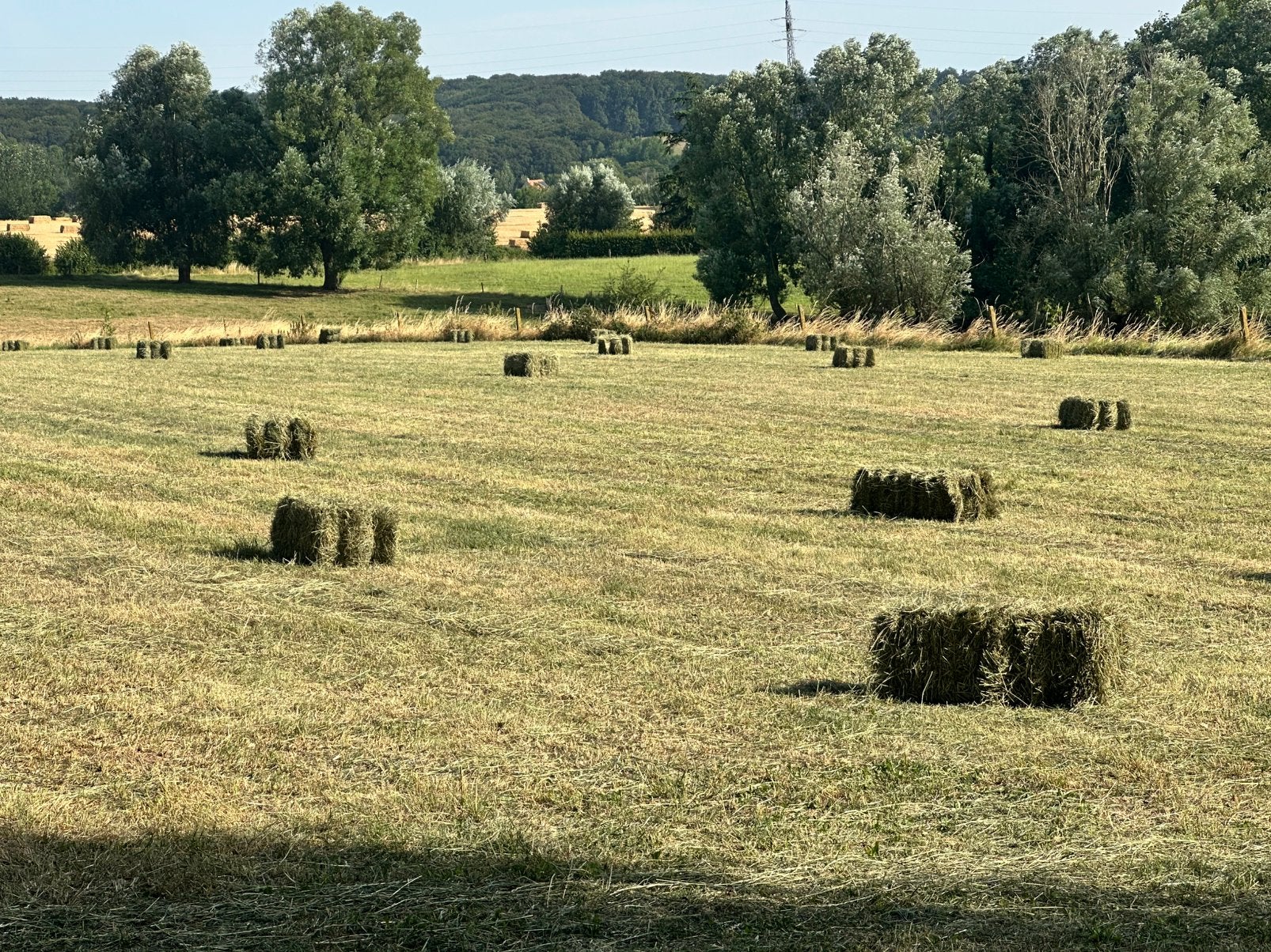 Kleine balen hooi