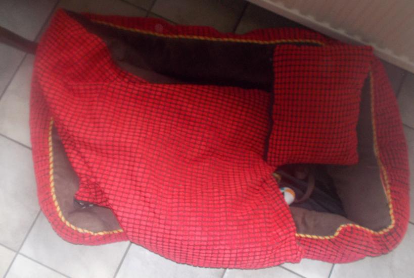 panier chien, Enlèvement, Comme neuf