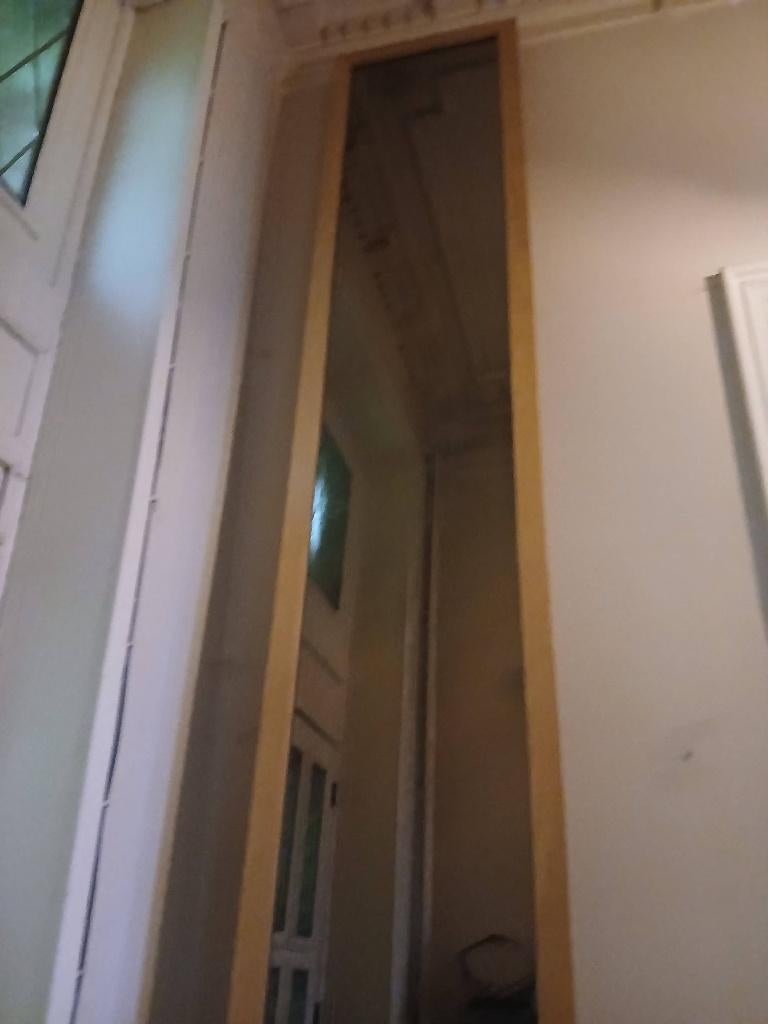 Extra grote staande spiegel, Ophalen, Gebruikt, 200 cm of meer, Rechthoekig