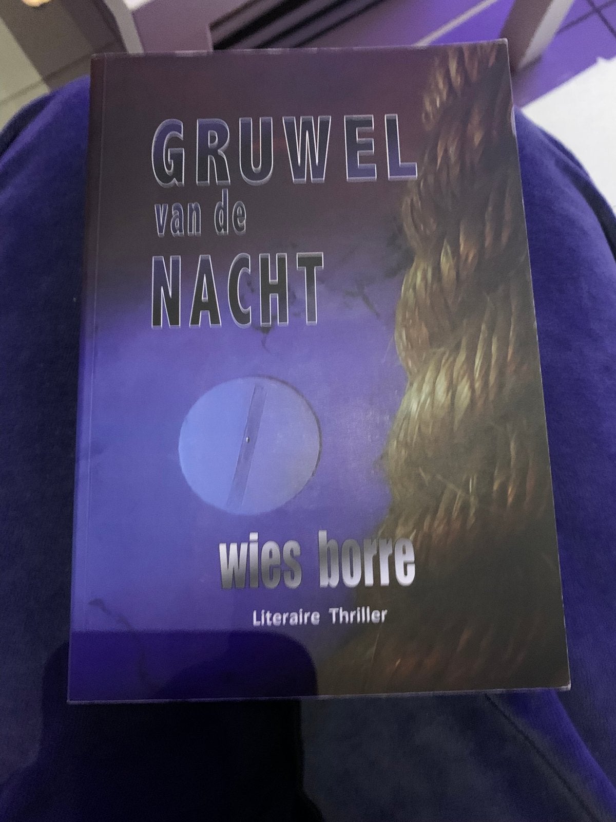 Wies Borre - Gruwel van de nacht, Boeken, Ophalen of Verzenden, Wies Borre