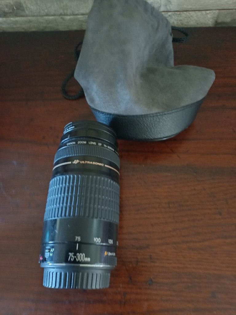 Objectif zoom Canon EF 75-300 1:4 5-,6, Canon, Téléobjectif, Comme neuf, Enlèvement