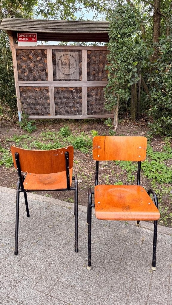 Chaises de cantine empilables noires (32 en stock), Maison & Meubles, Chaises, Utilisé, Cinq, Six Chaises ou plus, Bois, Autres matériaux