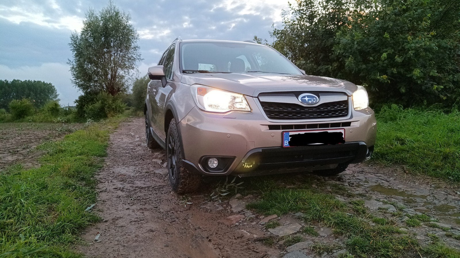Subaru Forester 2.0i, Autos, Subaru, Système de navigation, Achat, Particulier, Crosstrek