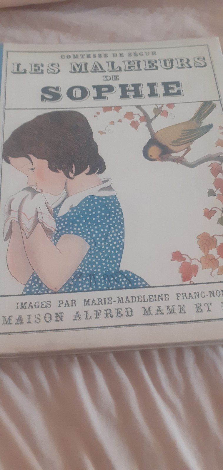 Les malheurs de Sophie, Livres, Enlèvement