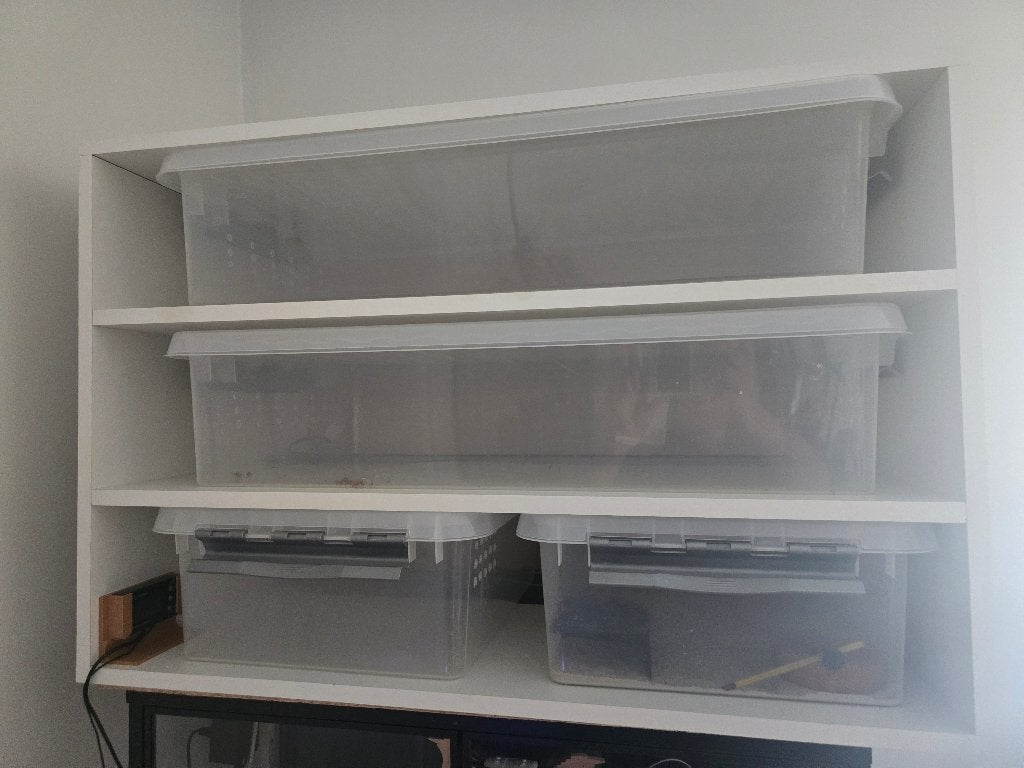 Rack 92B 62H 51D, Ophalen, Nieuw