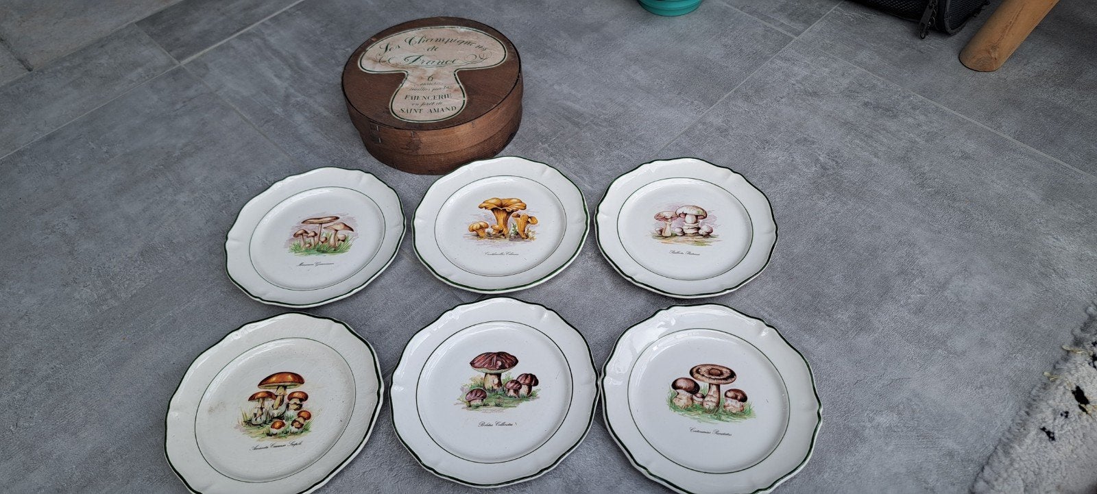 6 assiettes champigons Saint Armand, Enlèvement ou Envoi