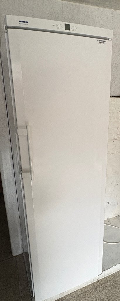 Diepvries, Electroménager, Congélateur, 160 cm ou plus, Enlèvement, Utilisé