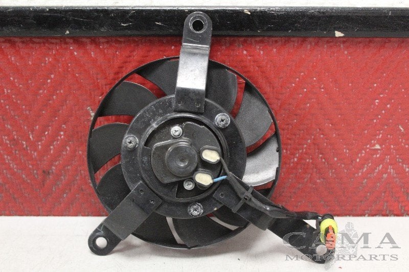 VENTILATOR Ducati 1098 +S (01-2007/12-2008), Dhr. S. di Majo, Gebruikt, Info@cama-motorparts.nl, P.J. Troelstraweg 8 8
3144 CX  MAASSLUIS, NL